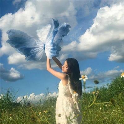 盲拳怪招粤语